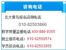 学计算机 编程与设计，究竟哪个更适合你？